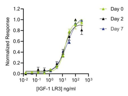 IGF-1 LR3 – 1mg - Image 2